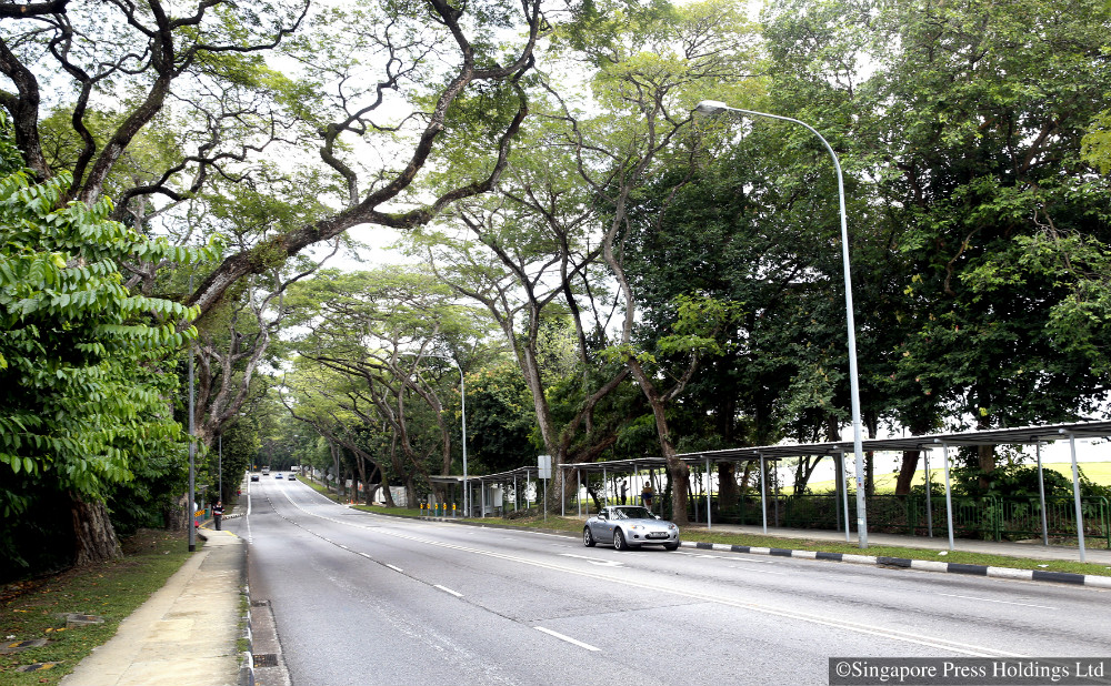 Parts of Upper Aljunied Road to be closed from March 12 for conversion into Bidadari Heritage Walk