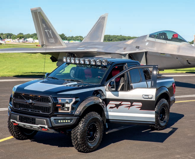 AMERICA’S RAPTORS