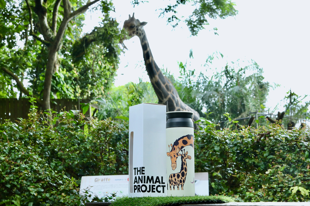 singapore zoo giraffe tumbler